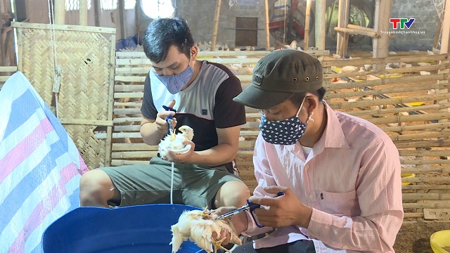 Chủ động phòng chống dịch bệnh trên đàn gia súc, gia cầm mùa nắng nóng- Ảnh 3. Chủ động phòng chống dịch bệnh trên đàn gia súc, gia cầm mùa nắng nóng- Ảnh 3.