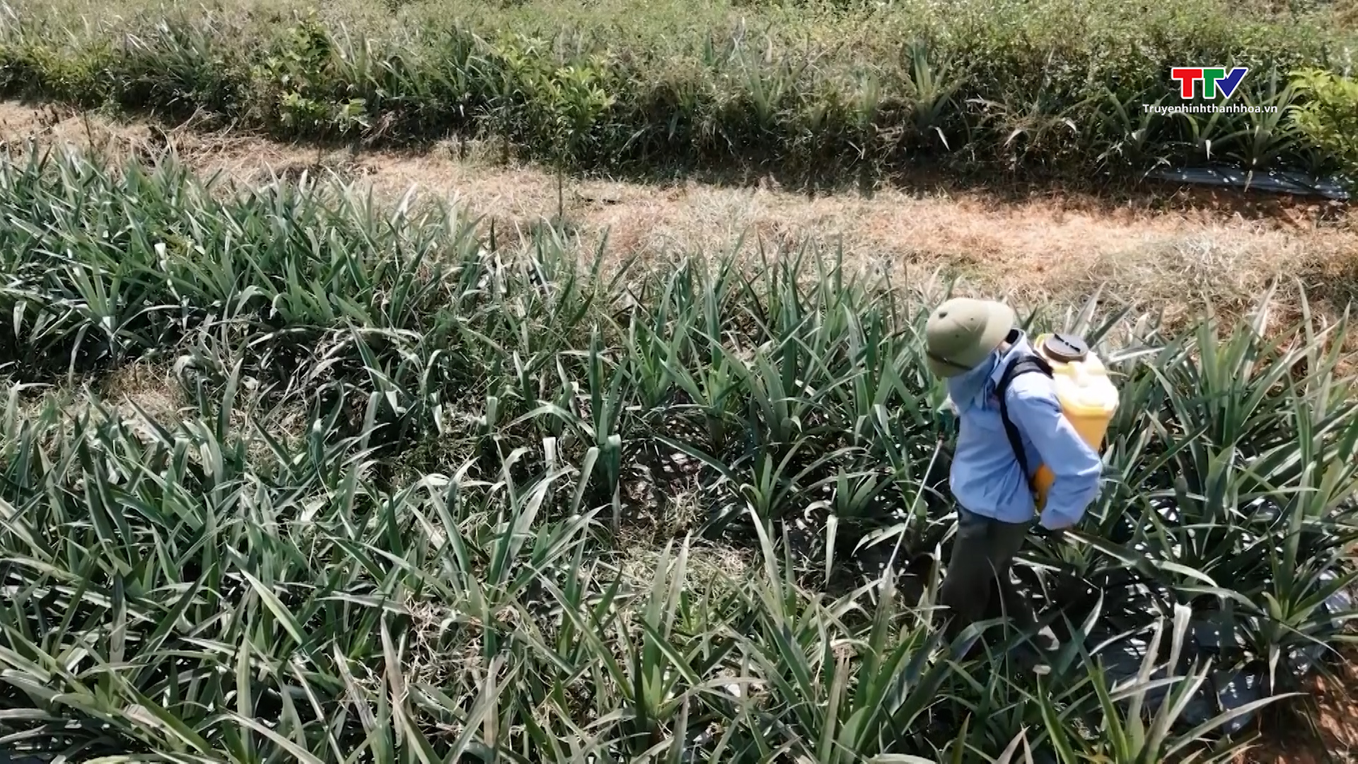 Tăng cường liên kết ứng dụng, chuyển giao khoa học kỹ thuật, thúc đẩy khoa học công nghệ, đổi mới sáng tạo trong các doanh nghiệp- Ảnh 1. Tăng cường liên kết ứng dụng, chuyển giao khoa học kỹ thuật, thúc đẩy khoa học công nghệ, đổi mới sáng tạo trong các doanh nghiệp- Ảnh 1.