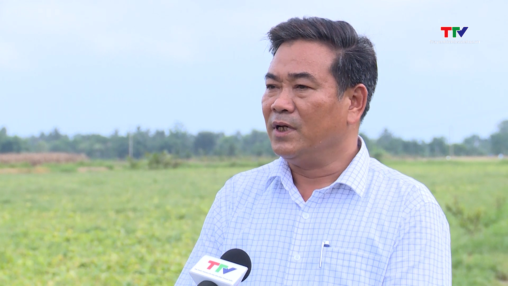 Dưa được mùa, được giá- Ảnh 2. Dưa được mùa, được giá- Ảnh 2.