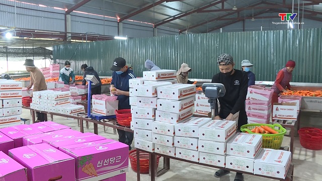 Xuất khẩu rau quả sụt giảm tháng thứ 5 liên tiếp- Ảnh 1. Xuất khẩu rau quả sụt giảm tháng thứ 5 liên tiếp- Ảnh 1.