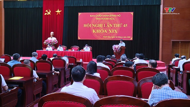 Hội nghị lần thứ 45 Ban Chấp hành Đảng bộ tỉnh khóa XIX- Ảnh 1.