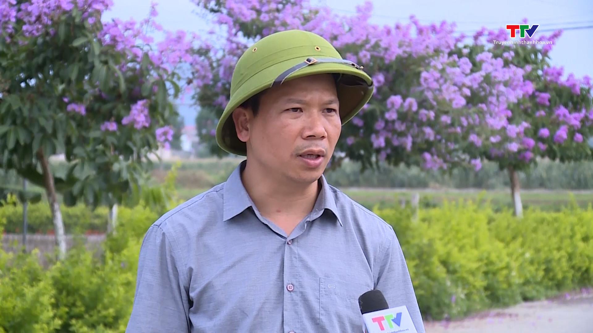 Huyện Hậu Lộc chủ động phương án phòng chống thiên tai- Ảnh 4. Huyện Hậu Lộc chủ động phương án phòng chống thiên tai- Ảnh 4.
