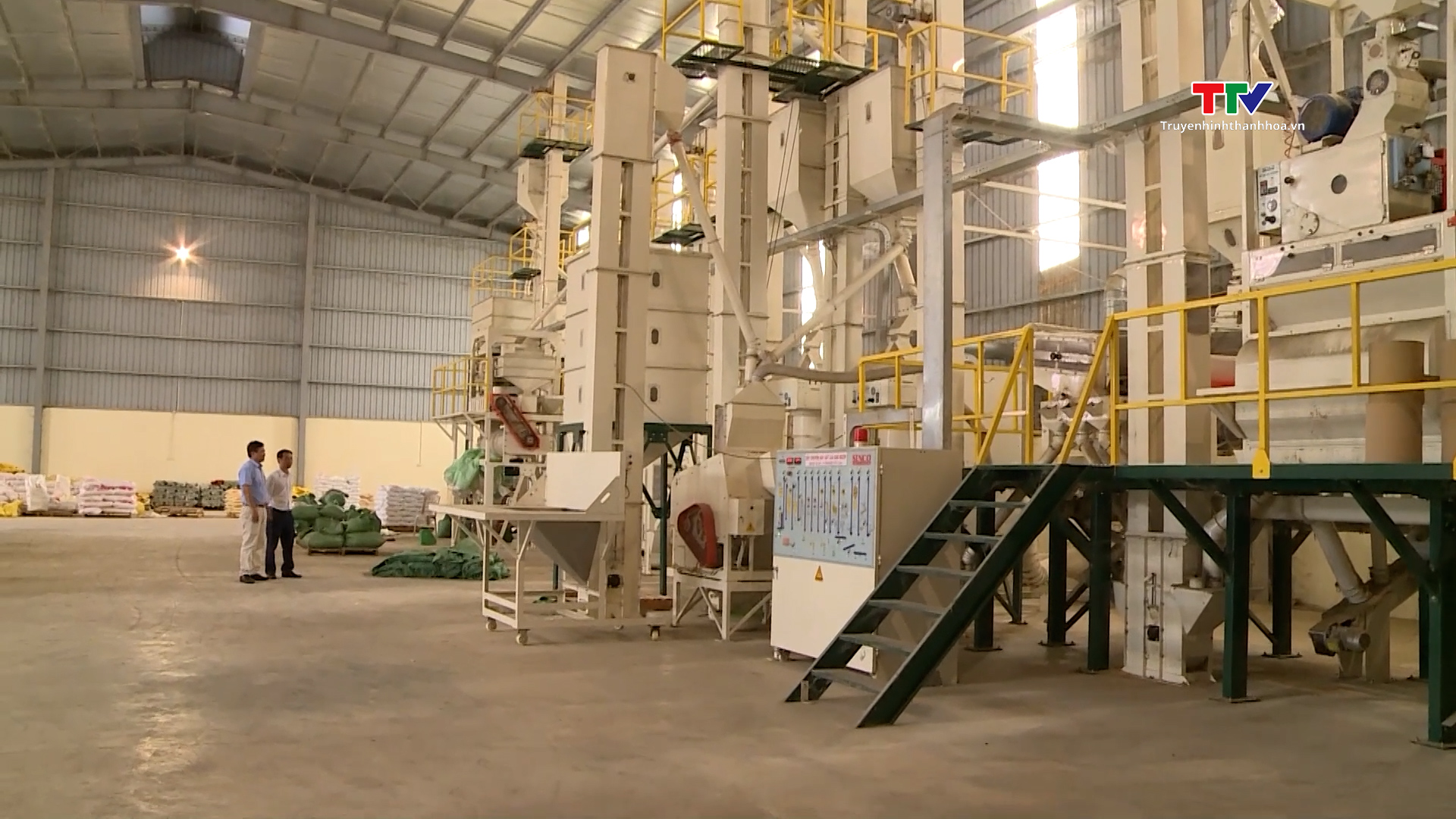 Các doanh  nghiệp đẩy mạnh thu mua và chế biến lúa gạo- Ảnh 3.