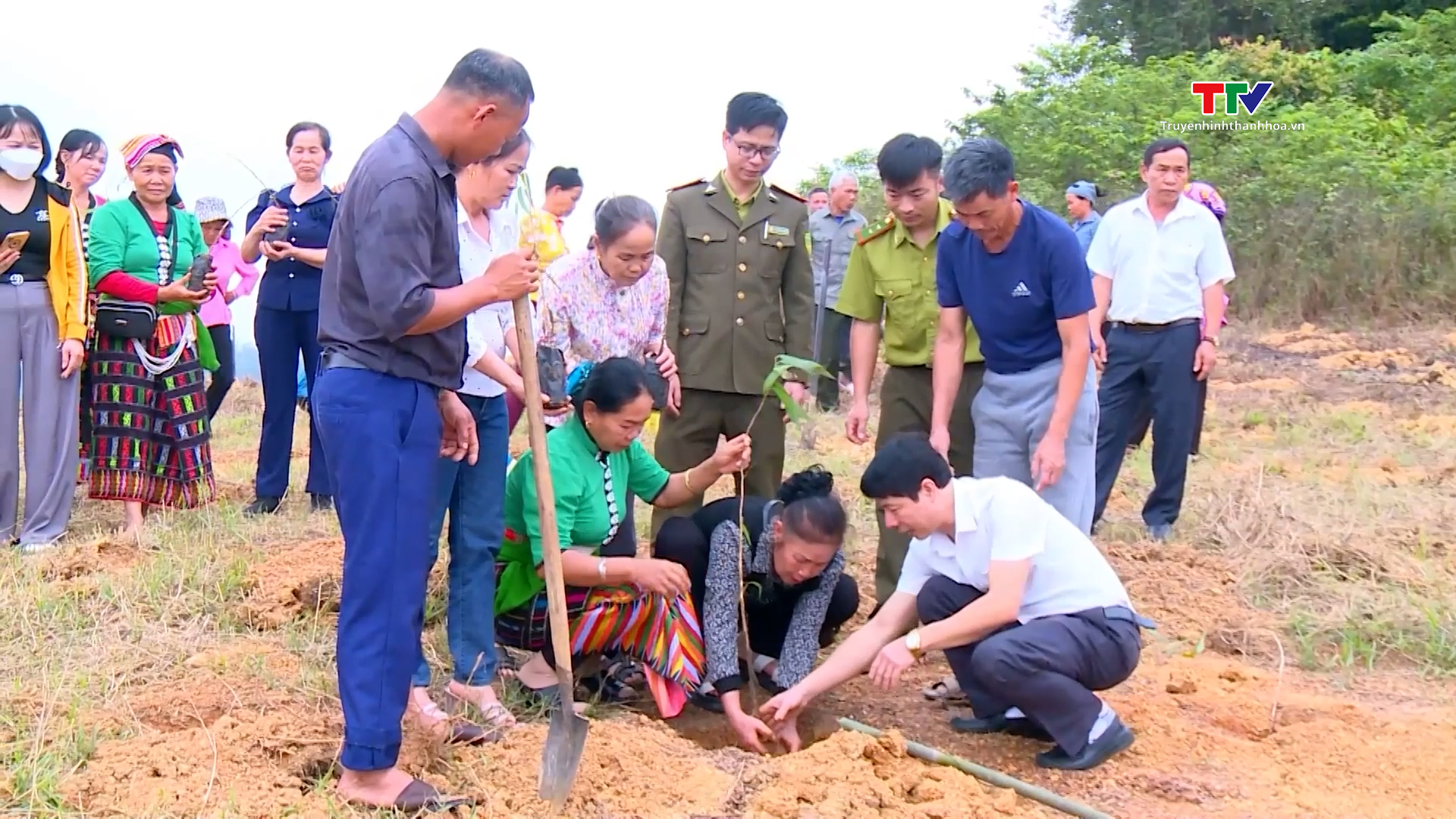Vườn quốc gia Bến En phấn đấu phủ xanh 200 ha đất bán ngập nước- Ảnh 4. Vườn quốc gia Bến En phấn đấu phủ xanh 200 ha đất bán ngập nước- Ảnh 4.