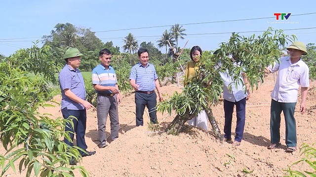 Vai trò nòng cốt của Bí thư Chi bộ trong xây dựng Đảng ở cơ sở- Ảnh 1. Vai trò nòng cốt của Bí thư Chi bộ trong xây dựng Đảng ở cơ sở- Ảnh 1.