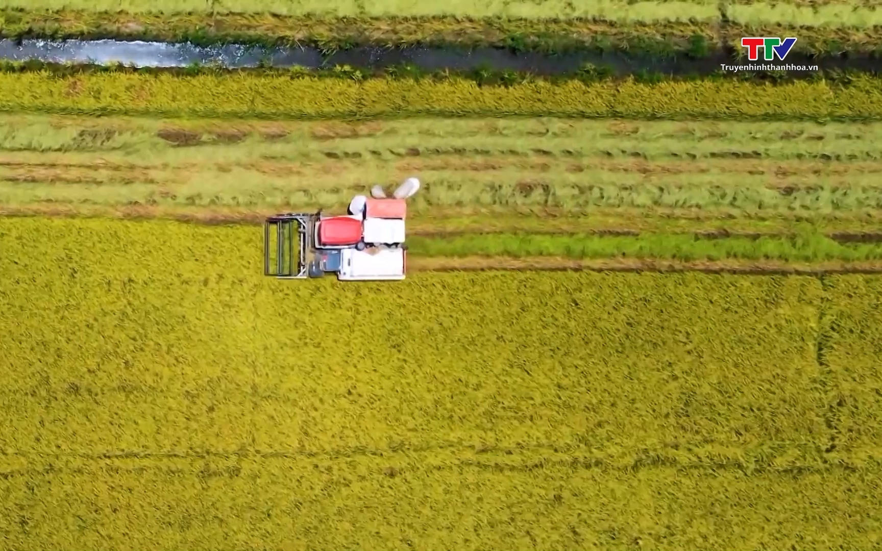 Đề xuất giảm 70% tiền chuyển đổi đất nông nghiệp sang thổ cư- Ảnh 1. Miễn thuế đất nông nghiệp tiếp sức cho nông dân và doanh nghiệp