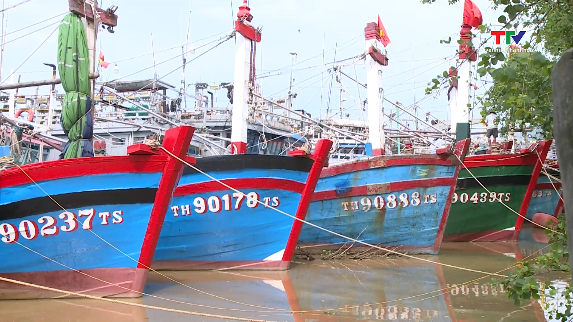 Thanh Hóa: Hơn 6.400 phương tiện tàu thuyền đã vào nơi neo đậu an toàn- Ảnh 1.