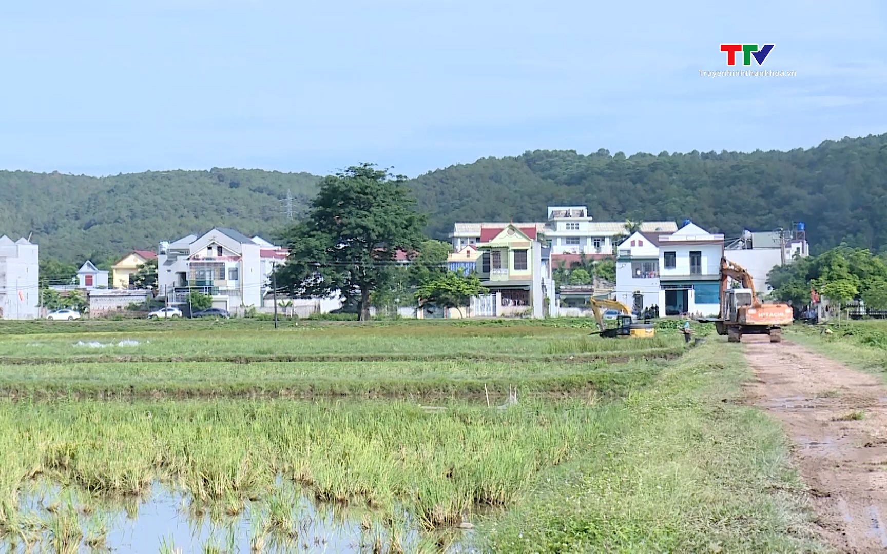 Đẩy nhanh giải phóng mặt bằng đường sắt cao tốc Bắc – Nam