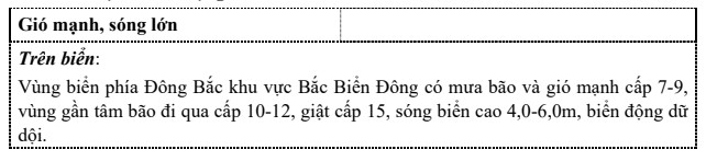 Bão số 2 mạnh cấp 11-12, giật cấp 15- Ảnh 2. Bão số 2 mạnh cấp 11-12, giật cấp 15- Ảnh 2.
