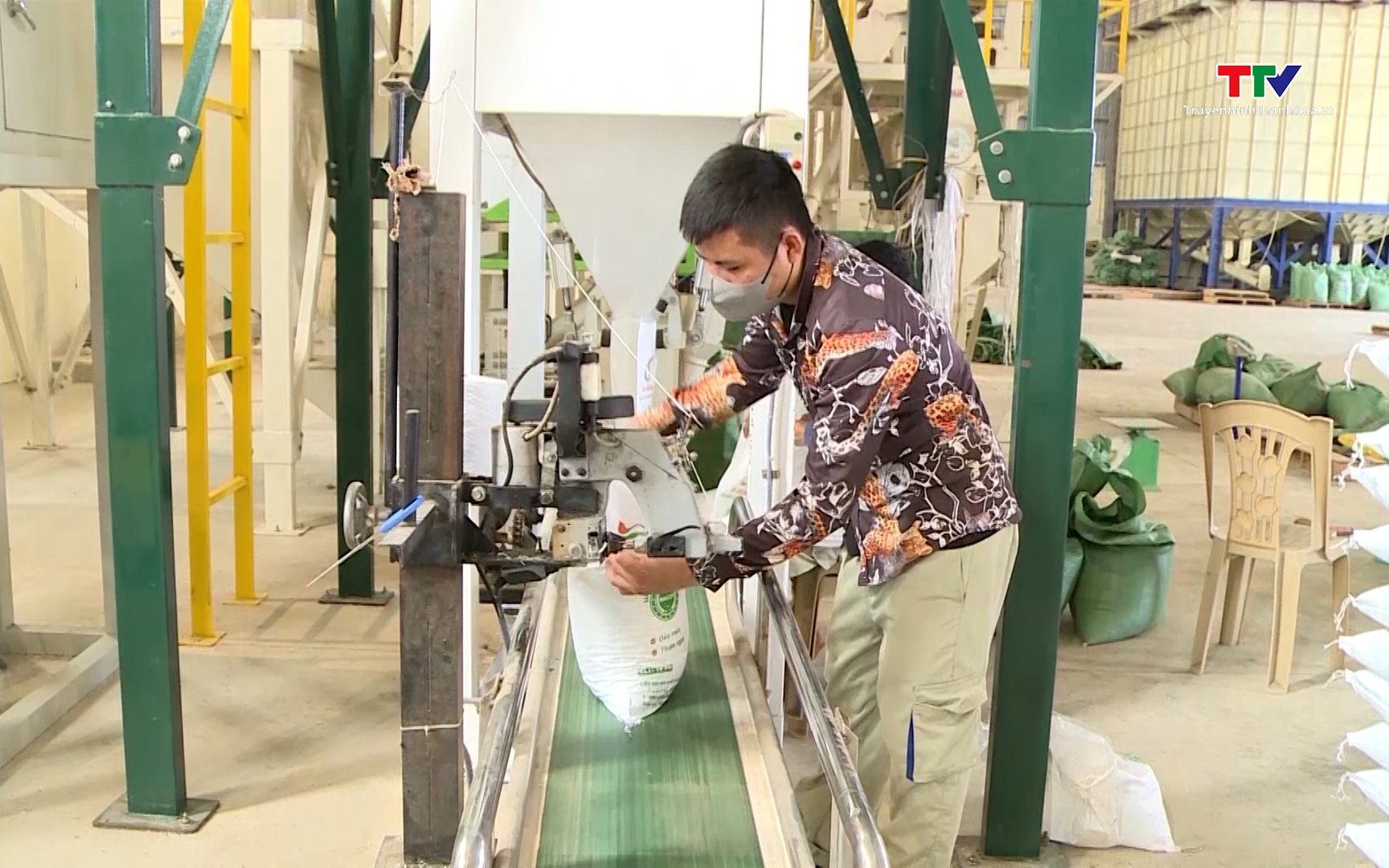 Việt Nam tiếp tục trong nhóm xuất khẩu gạo hàng đầu thế giới- Ảnh 1. Xuất khẩu gạo năm 2025 có thể đạt 8,2 triệu tấn