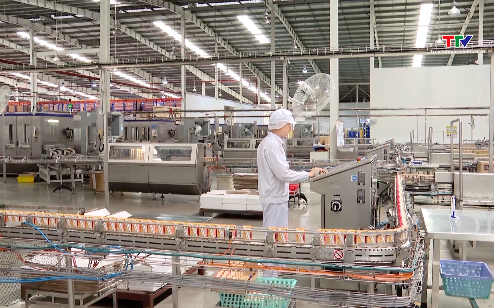 Vinamilk tái hiện hành trình 50 năm tại triển lãm sữa lớn nhất Việt Nam- Ảnh 1. Sản lượng sữa tươi năm 2025 của Thanh Hóa đạt 72.500 tấn