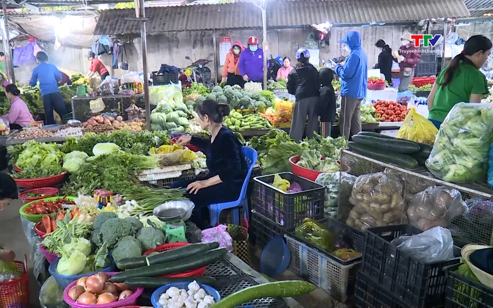 Quản l&yacute;, b&igrave;nh ổn gi&aacute; dịp Tết Nguy&ecirc;n đ&aacute;n 