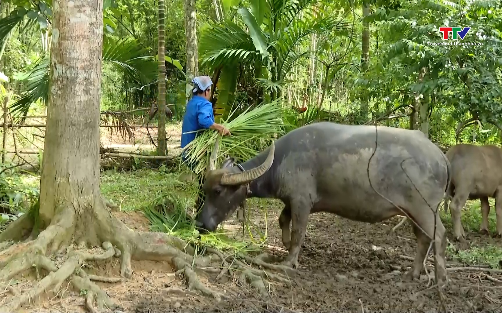 Chuẩn ngh&egrave;o đa chiều quốc gia giai đoạn 2026 - 2030