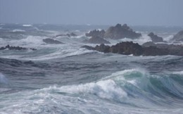 Chủ động ứng ph&oacute; với r&eacute;t đậm,  r&eacute;t hại v&agrave; gi&oacute; mạnh tr&ecirc;n biển