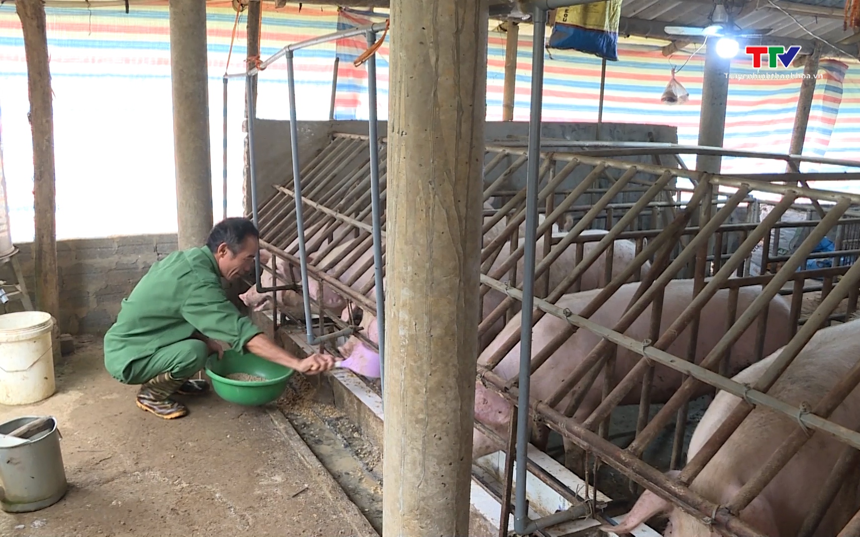 Chủ động ph&ograve;ng chống đ&oacute;i, r&eacute;t cho đ&agrave;n vật nu&ocirc;i