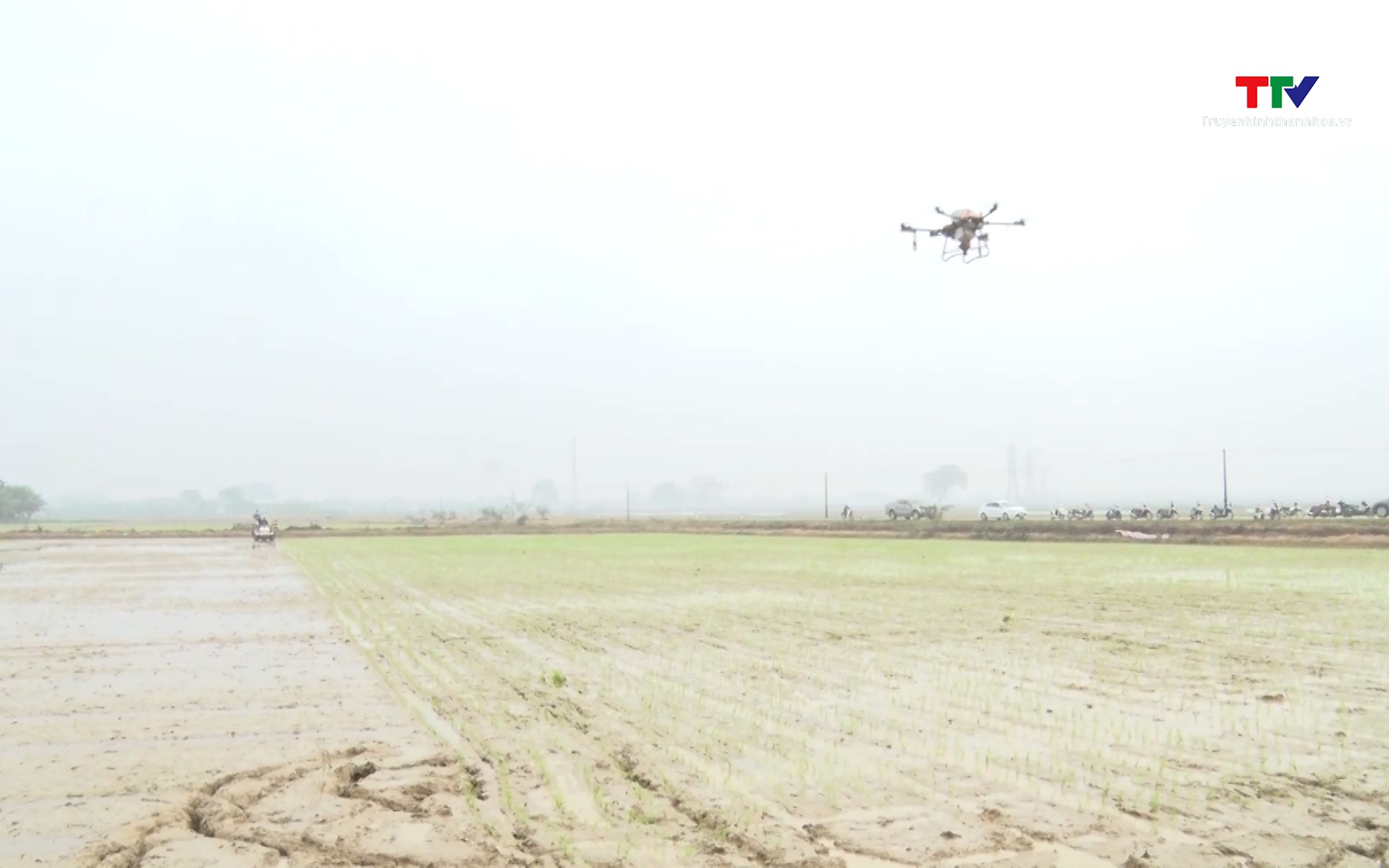 Th&uacute;c đẩy chuyển đổi số trong hợp t&aacute;c x&atilde; n&ocirc;ng nghiệp