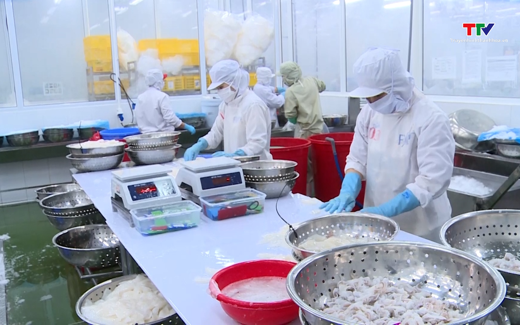 Xuất khẩu thủy sản vượt mốc 11 tỷ USD