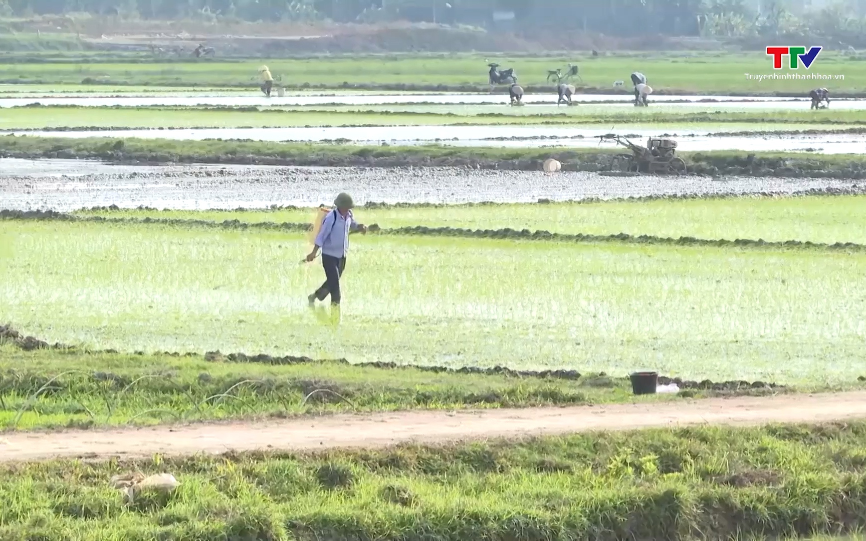 Đẩy nhanh tiến độ gieo cấy vụ M&ugrave;a - Ảnh 1.