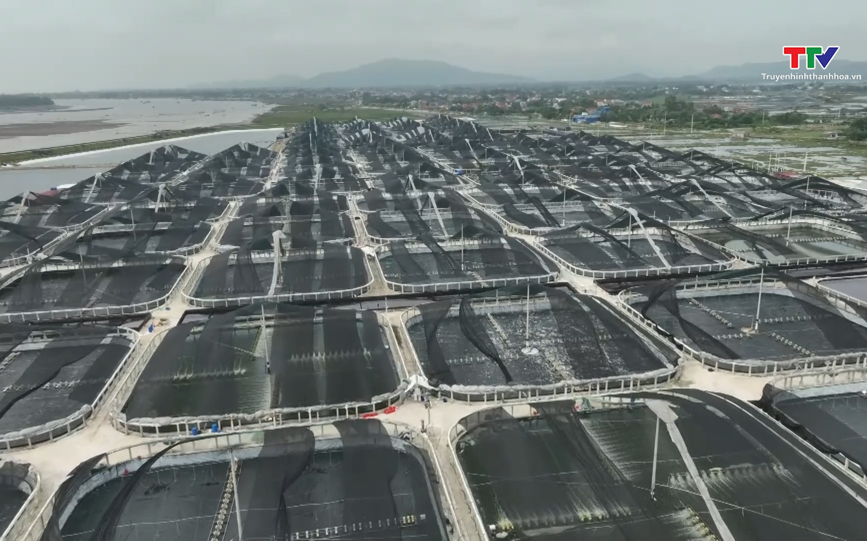 C&ocirc;ng nghệ cao - đ&ograve;n bẩy n&acirc;ng gi&aacute; trị kinh tế n&ocirc;ng nghiệp