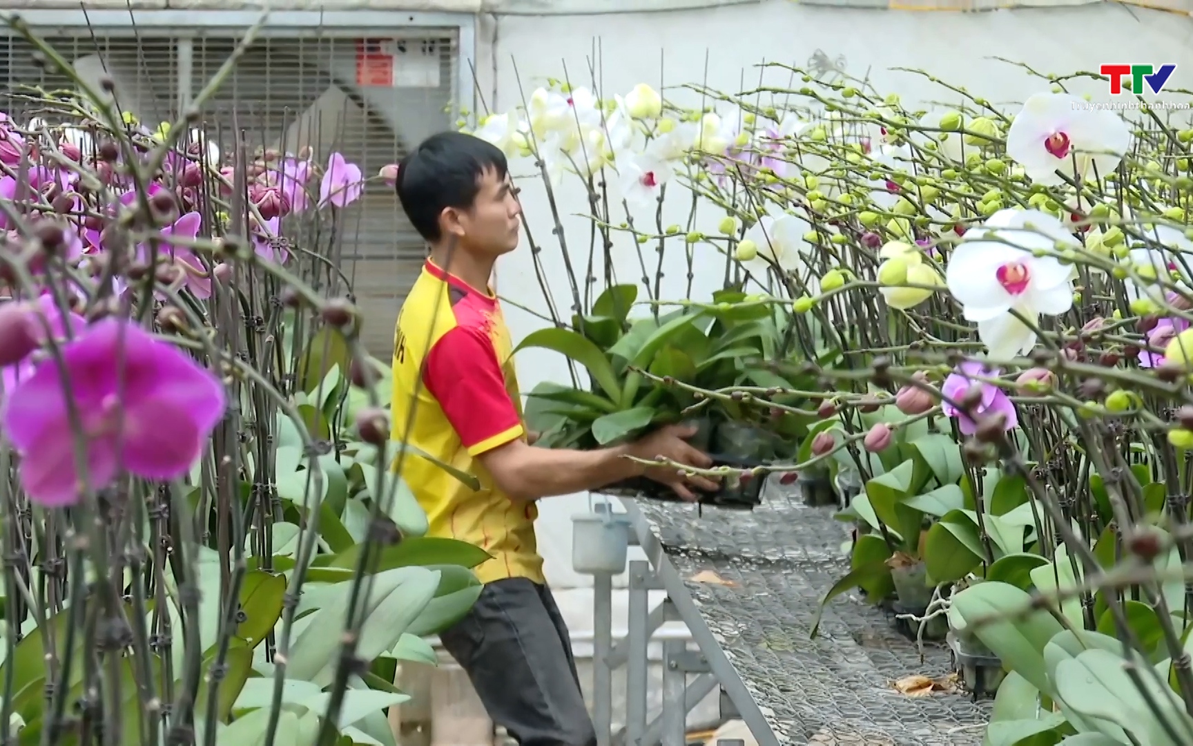 Ứng dụng c&ocirc;ng nghệ số nhằm n&acirc;ng cao hiệu quả sản xuất n&ocirc;ng nghiệp