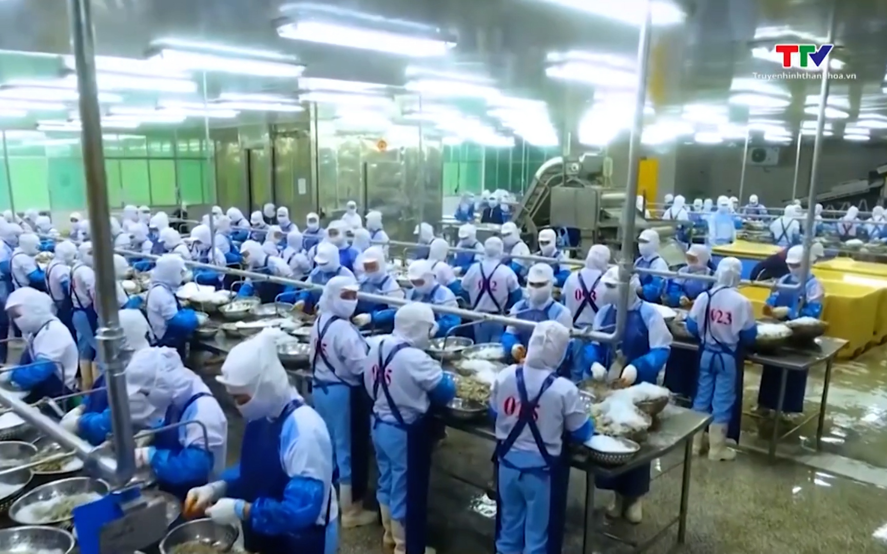 Xuất khẩu thủy sản ph&acirc;n h&oacute;a theo thị trường