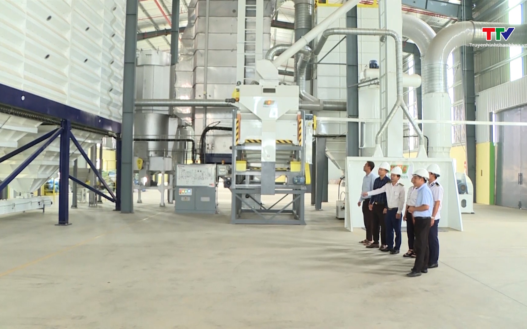 Giá gạo thế giới giảm sâu, doanh nghiệp xuất khẩu Việt Nam chủ động ứng phó- Ảnh 1. Giá gạo châu Á giảm do nhu cầu suy yếu