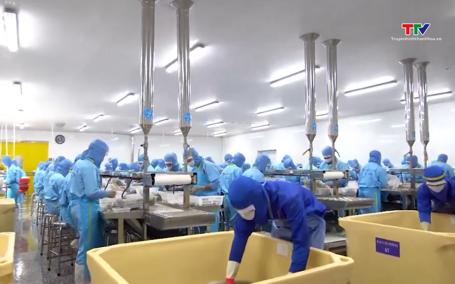 Xuất khẩu thủy sản t&igrave;m dư địa tăng trưởng từ c&aacute;c thị trường mới