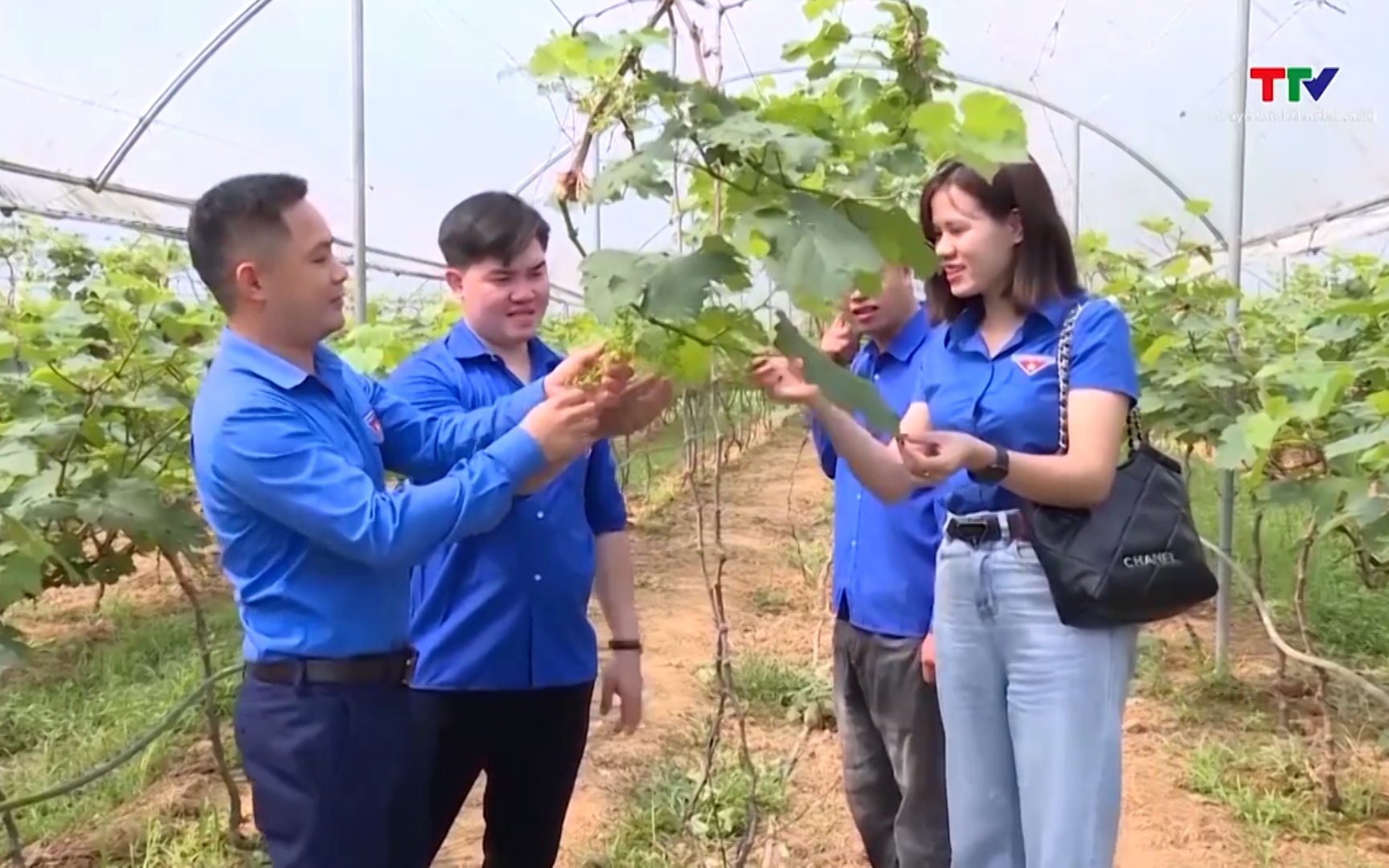 Tín dụng chính sách tiếp sức cho lao động xuất khẩu- Ảnh 1. Vốn tín dụng hỗ trợ thanh niên khởi nghiệp