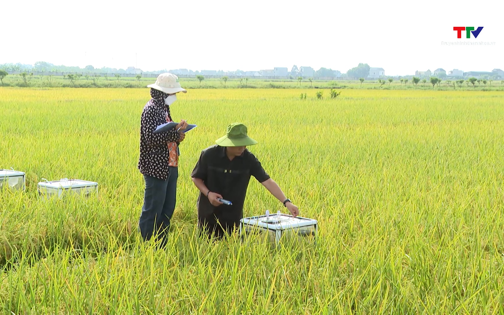 Cảnh báo dư lượng thuốc bảo vệ thực vật trên chanh leo, thanh long- Ảnh 1. Đề xuất công nghệ chiến lược cho nông nghiệp và môi trường bền vững