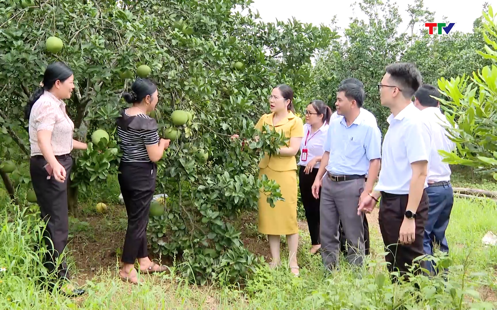 Hỗ trợ n&ocirc;ng d&acirc;n ph&aacute;t triển sản xuất, kinh doanh  