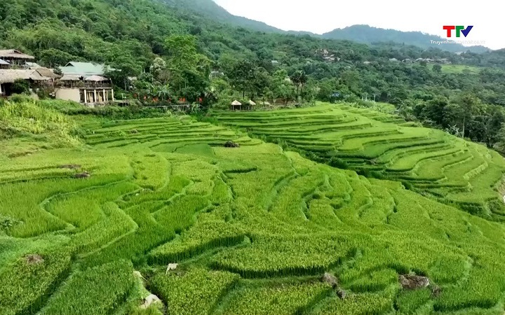 Du lịch lễ 30/4 v&agrave; 1/5: S&ocirc;i động thị trường gần, ngắn ng&agrave;y