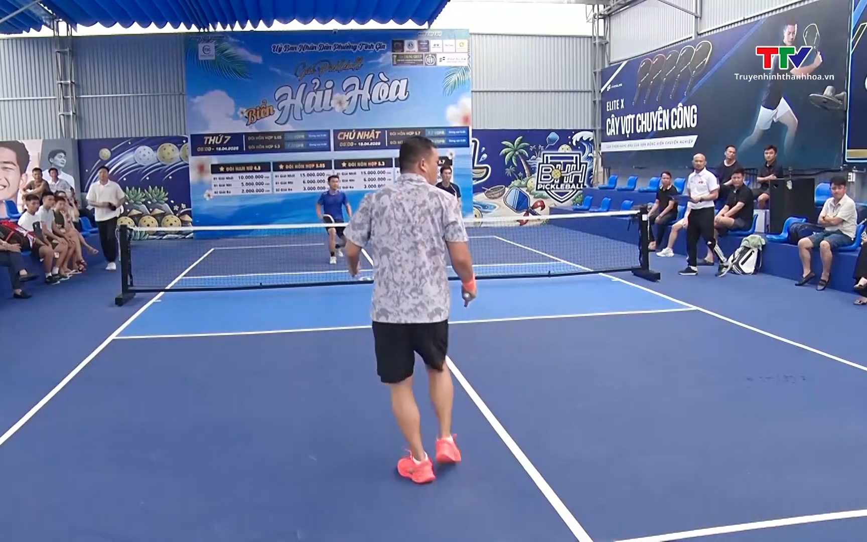 Tr&ecirc;n 300 vận động vi&ecirc;n tham gia Giải Pickleball mở rộng tranh C&uacute;p biển Hải H&ograve;a năm 2026