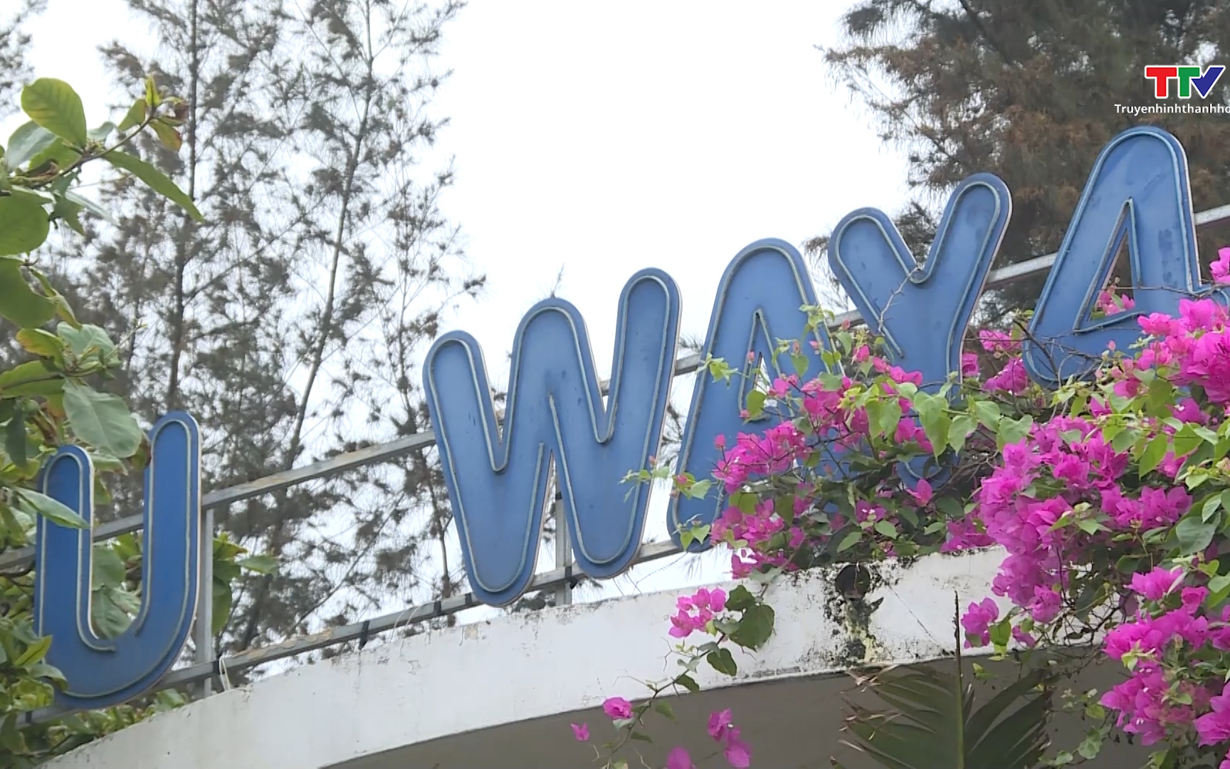 Đưa v&agrave;o vận h&agrave;nh hệ thống hubway biển Sầm Sơn trước ng&agrave;y 25/4