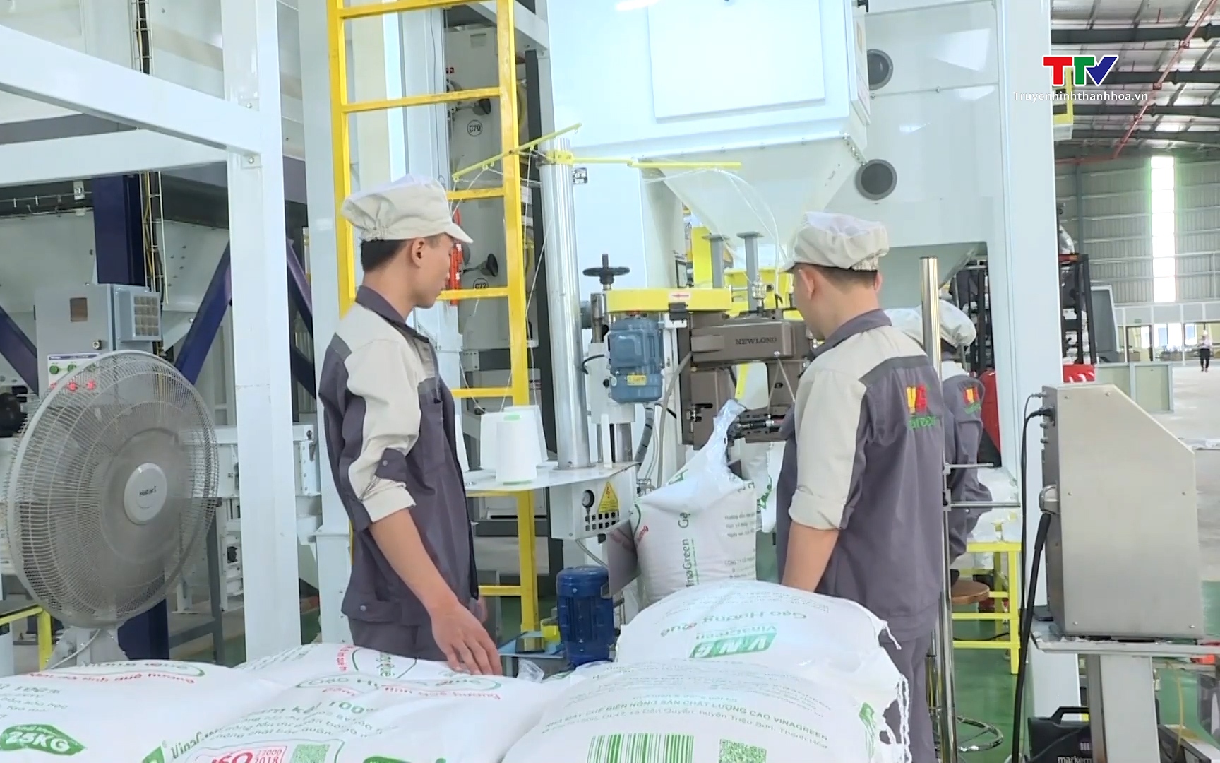 Gi&aacute; gạo dự b&aacute;o tiếp tục tăng