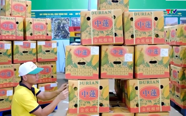 Kim ngạch xuất khẩu n&ocirc;ng l&acirc;m thủy sản tăng