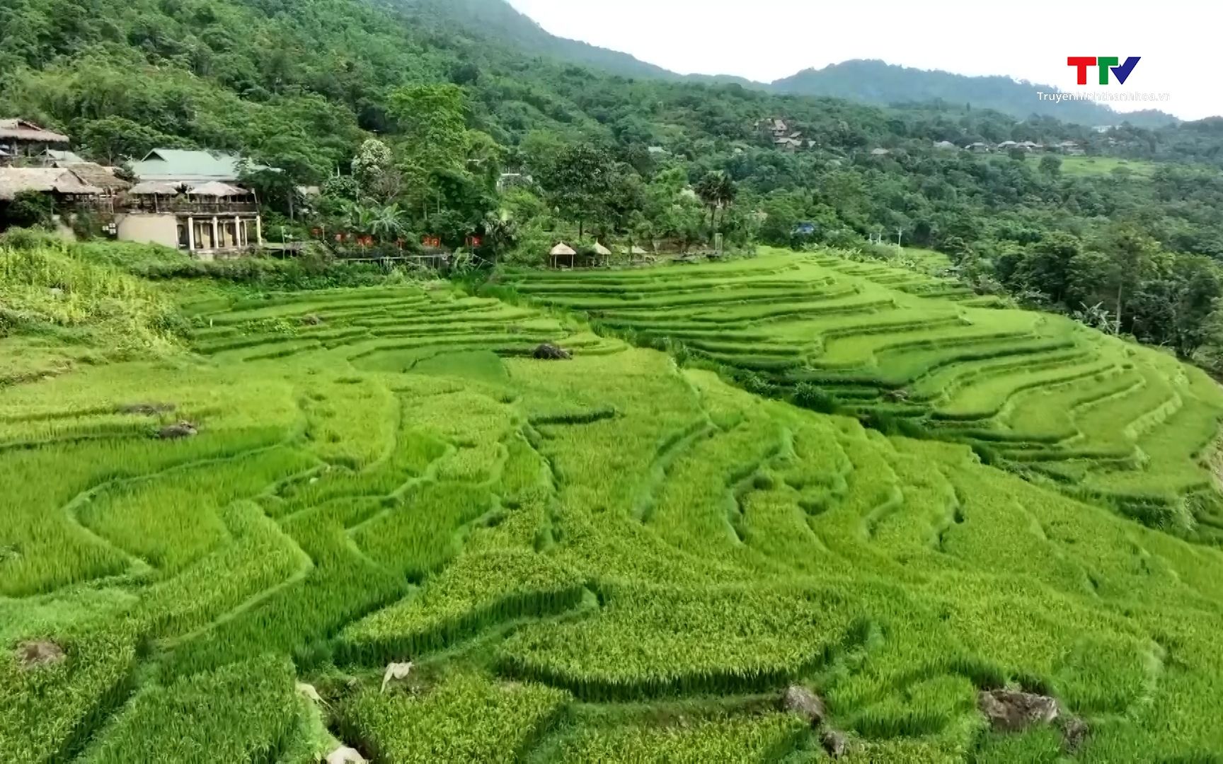 Kh&aacute;ch quốc tế đến Việt Nam lập kỷ lục mới ngay qu&yacute; I/2026