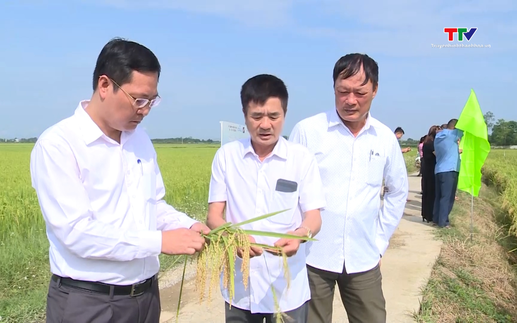 Chuyển đổi cơ cấu giống l&uacute;a th&iacute;ch ứng với biến đổi kh&iacute; hậu