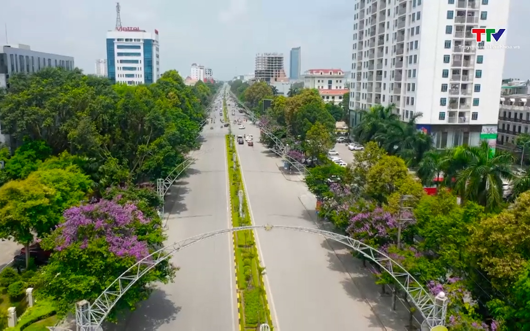 Chạm vào mùa hè- Ảnh 1. Những con đường nhuộm sắc tím Bằng lăng