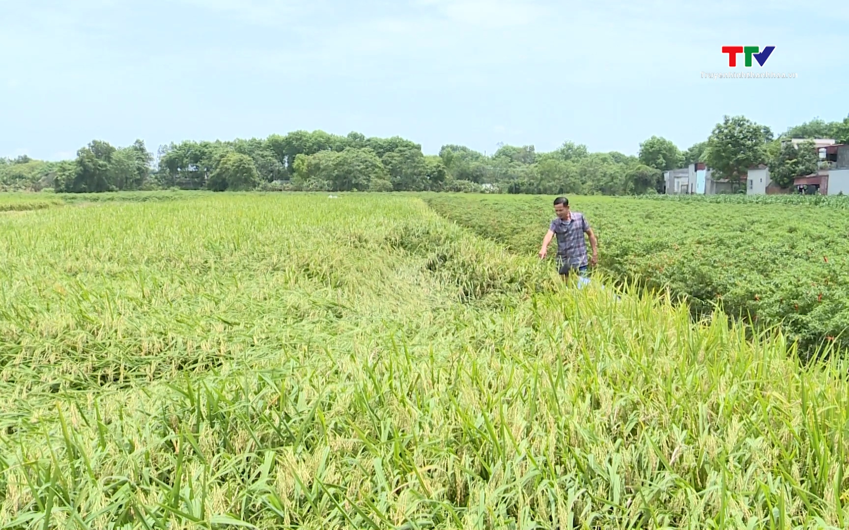 El Nino mạnh hơn dự báo, đề phòng các hình thái thiên tai nguy hiểm- Ảnh 1. Chủ động các biện pháp ứng phó thời tiết cực đoan