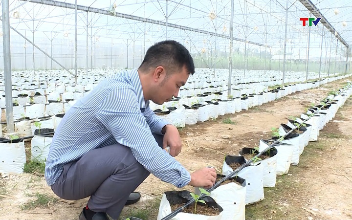 Khoảng 40.000 ha sản xuất &aacute;p dụng c&ocirc;ng nghệ tưới nước tiết kiệm