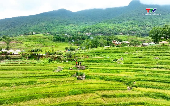 Hấp dẫn c&aacute;c điểm du lịch cộng đồng tại xứ Thanh