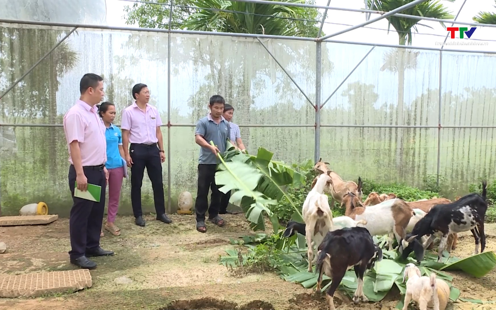 T&iacute;n dụng ch&iacute;nh s&aacute;ch tạo việc l&agrave;m, n&acirc;ng cao thu nhập cho người d&acirc;n 
