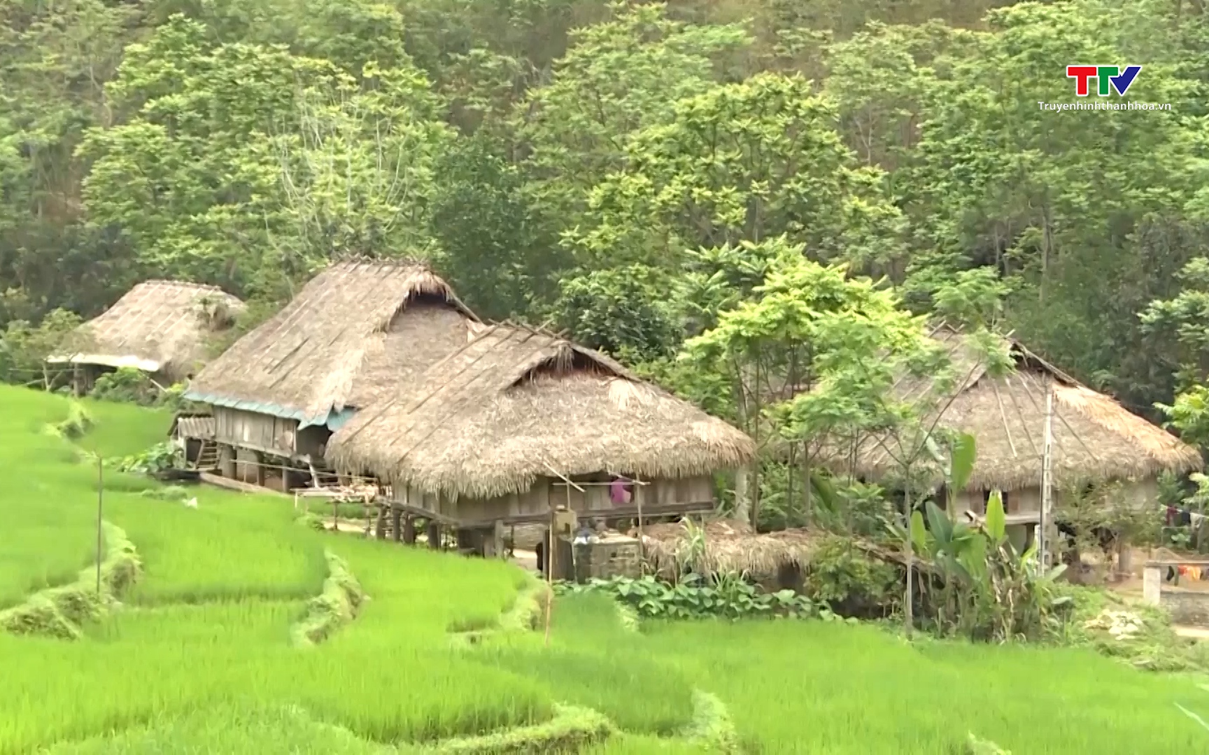 Bản sắc văn ho&aacute; l&agrave; động lực ph&aacute;t triển