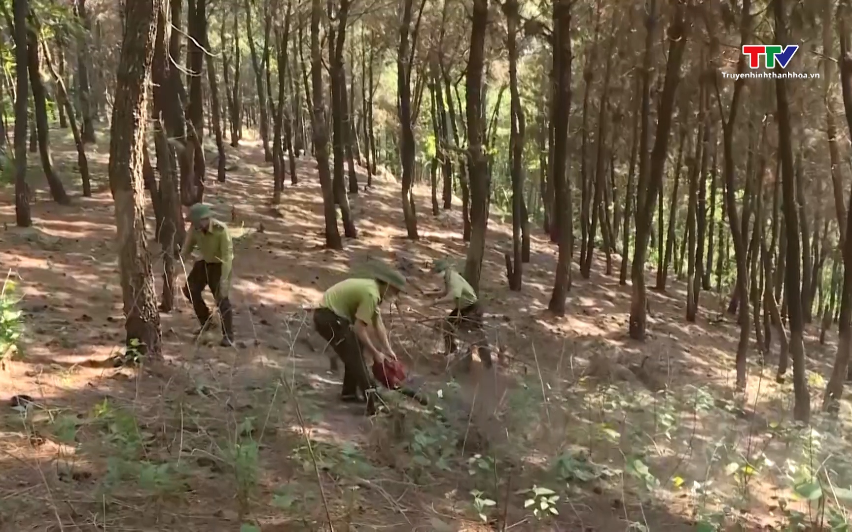 Chủ động phòng bệnh truyền nhiễm mùa nắng nóng- Ảnh 1. Tăng cường bảo vệ rừng trong cao điểm nắng nóng