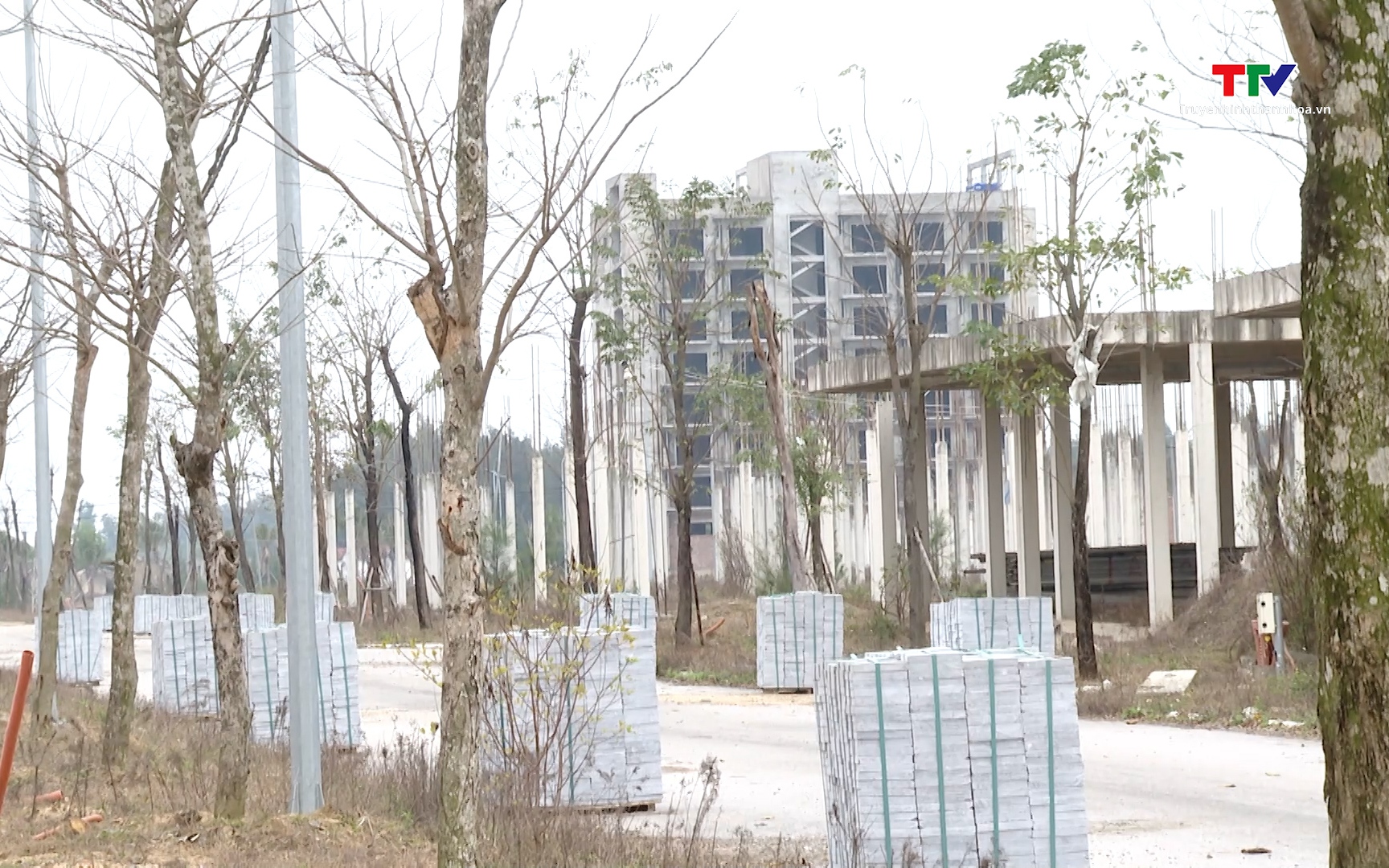 Tháo gỡ điểm nghẽn đất đai, khơi thông nguồn lực phát triển - Ảnh 1.