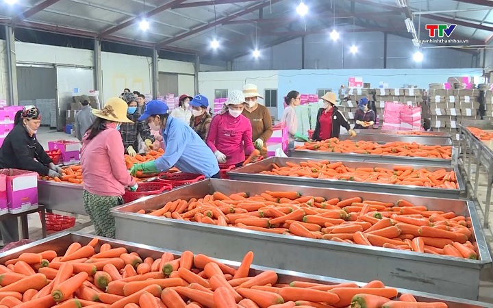 Thêm cơ hội mở rộng thị trường cho nông sản Việt - Ảnh 1.