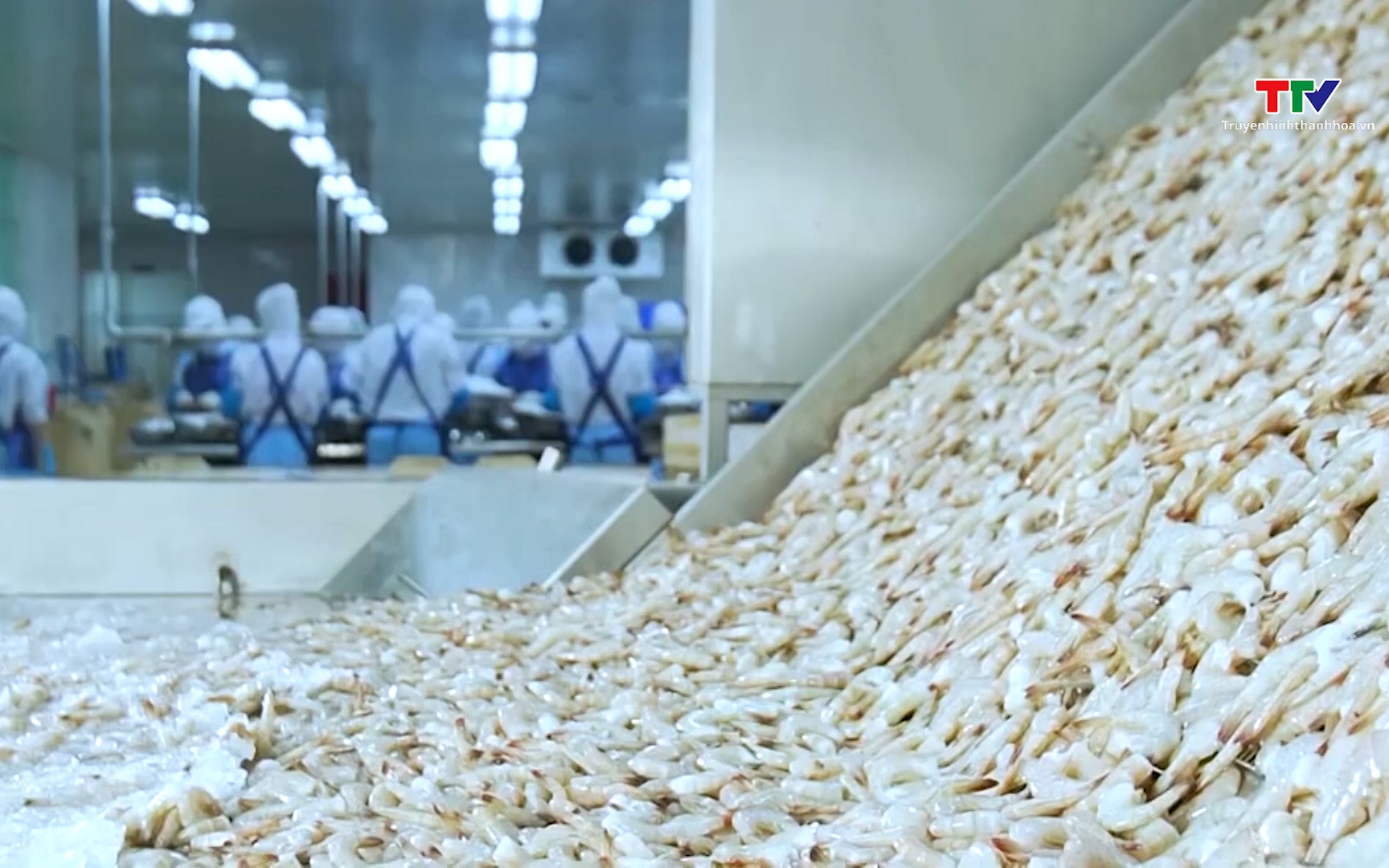 Xuất khẩu thủy sản 6 tháng đầu năm tăng gần 13% - Ảnh 1.