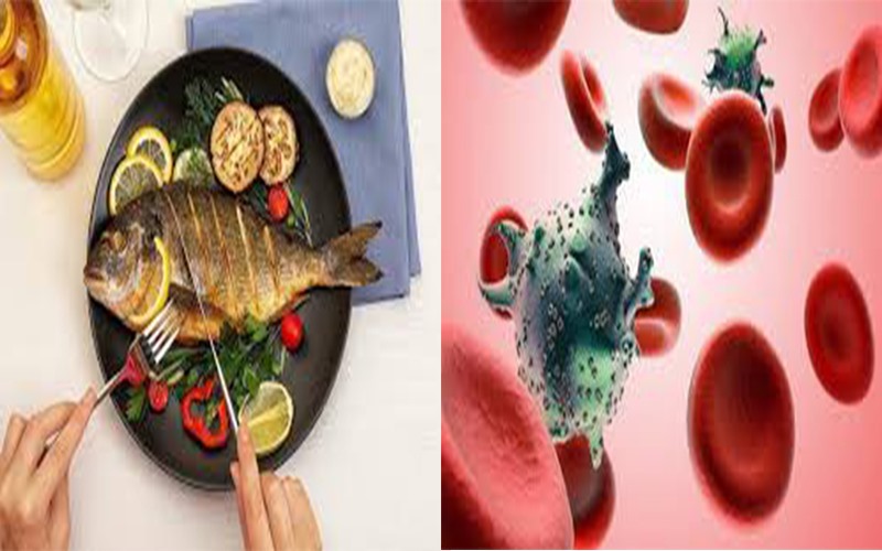 Giảm nguy cơ mắc ung thư: Theo một nghiên cứu công bố trên Tạp chí Dinh dưỡng Hoa Kỳ, bổ sung cá vào chế độ ăn có thể giúp giảm nguy cơ mắc một số loại ung thư như ruột kết, ung thư vòm họng và ung thư tuyến tụy. Có được điều này là do axit béo omega-3 trong cá giúp ngăn chặn sự nhân lên bất thường của các tế bào gây hại trong cơ thể từ đó ngăn ngừa bệnh ung thư.