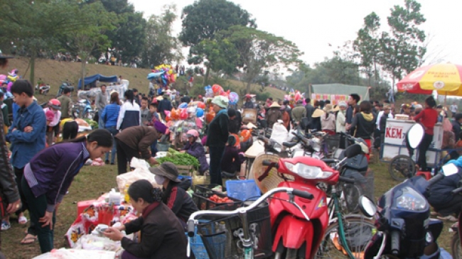 175802_Thuoc_gia2.jpg