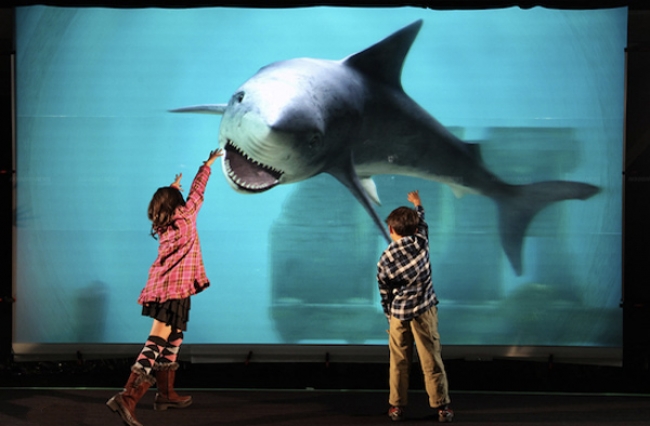 setup-phong-chieu-phim-imax-tai-gia3.png